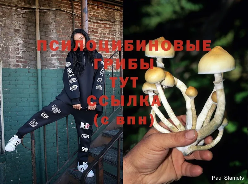 Галлюциногенные грибы Magic Shrooms  кракен как войти  Бирск 