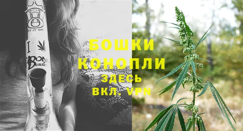 Бошки марихуана SATIVA & INDICA  наркошоп  KRAKEN как войти  Бирск 